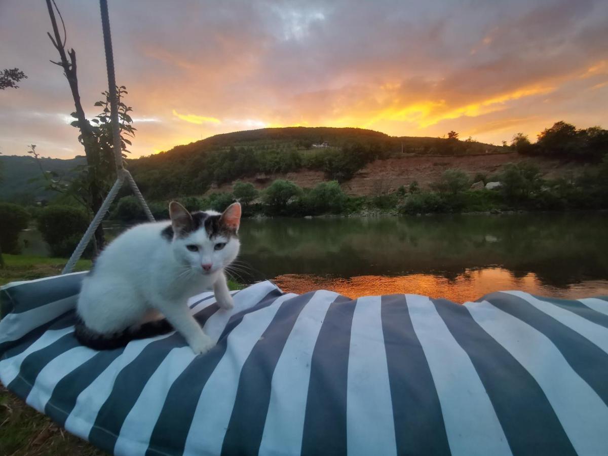 Prenociste Na Drini Foca Bed and Breakfast Εξωτερικό φωτογραφία